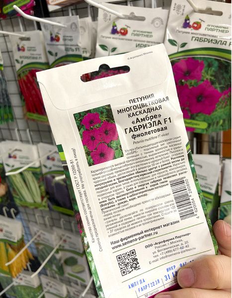 петуния Габриэла F1 каскадная, серия "Амбер"